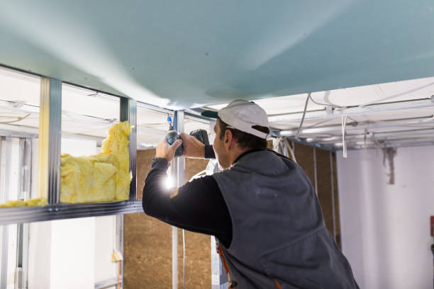 Best Commercial Insulation in Lakewood, SC