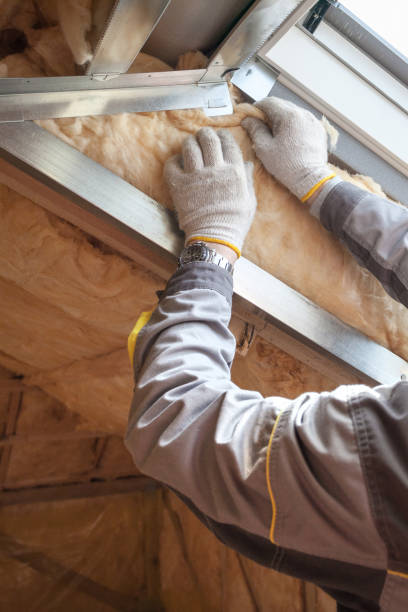 Best Insulation Maintenance and Repair in Lakewood, SC